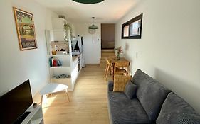 Bel Appartement A Ceret