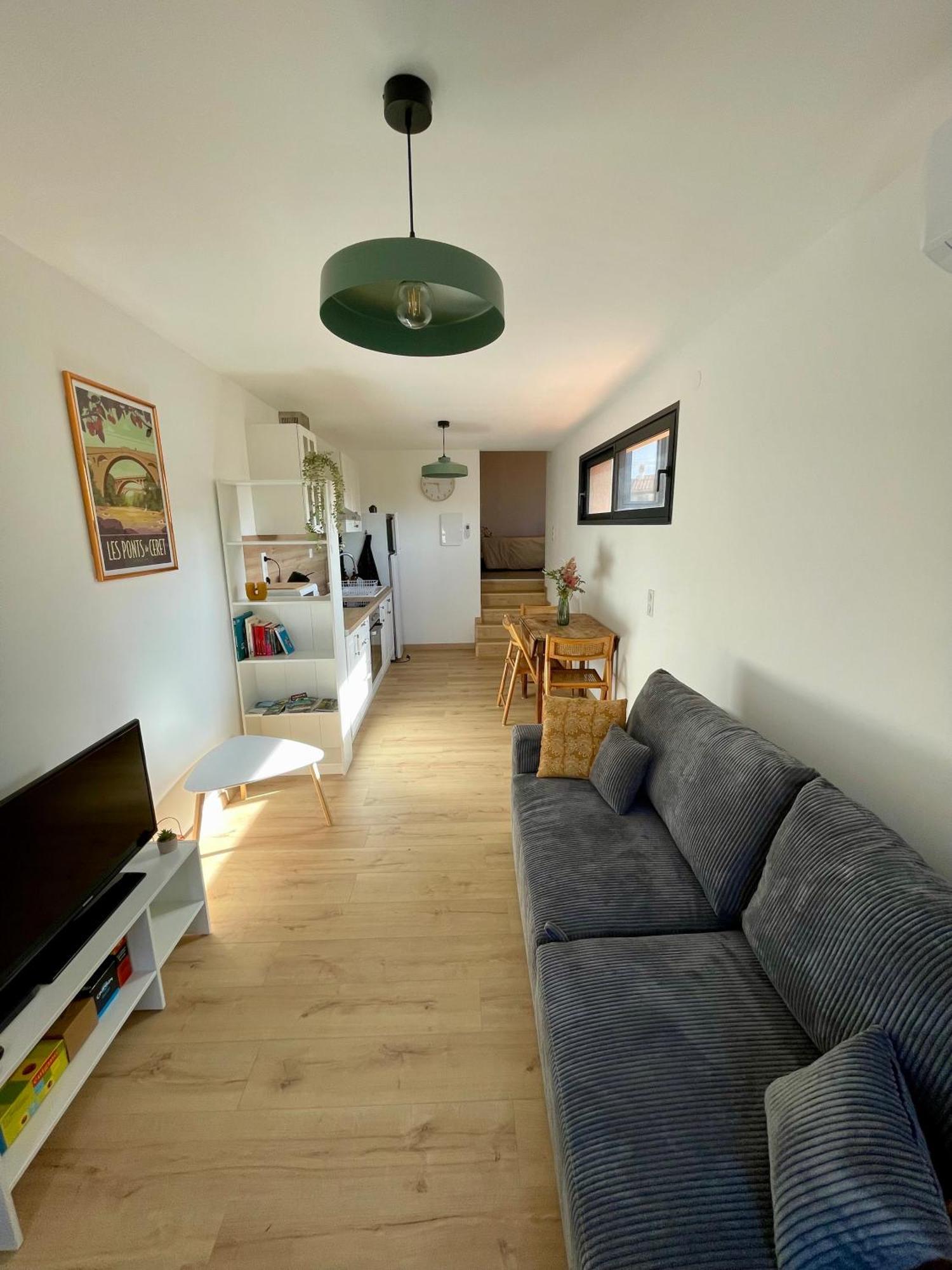 Bel Appartement A Céret Extérieur photo